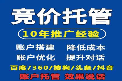 竞价排名案例：快速抢占市场先机